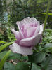 IMG_20140523_095508
