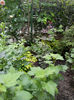 IMG_20140523_095536