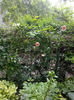 IMG_20140523_095541