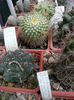 IMG_20140523_100308