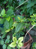 IMG_20140523_100704