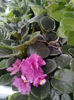 IMG_20140523_100811