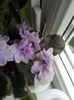 IMG_20140523_101054