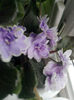 IMG_20140523_101057