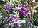 20140523_141246