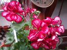 20140523_141215