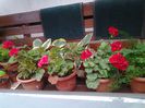 20140523_141044