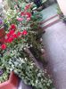 20140523_141316