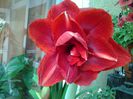 20140523_140948