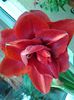 20140523_140930