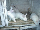 20140503_125621