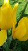 20140516_182614