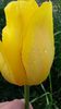 20140516_182838