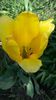 20140520_141634