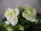 2014-05-14 17.13.47
