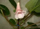 DSC08819