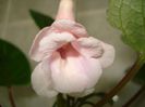 DSC08820