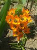today;s pictures flori 041