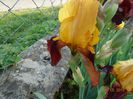 DSC03572