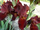 DSC03549
