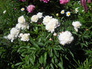 DSCN3481