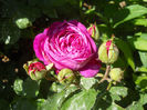 DSCN3484