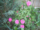 DSCN3572