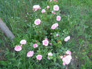 DSCN3524
