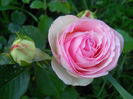 DSCN3537
