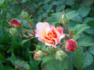 DSCN3532