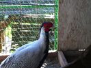 IMG_1966