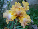 DSCN3565