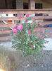 20140521_204823