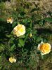 20140524_094313
