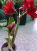 20140524_171211