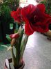 20140524_171142
