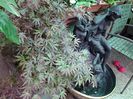 20140515_152033