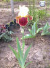 REPARTEE1