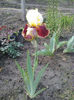 REPARTEE3