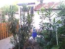 IMG_20140524_195938