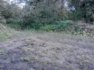IMG_20140523_163618