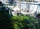 IMG_20140524_152945
