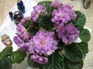 DSCF5697