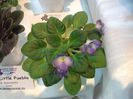 DSCF5719