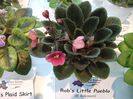 DSCF5726