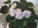 DSCF5773