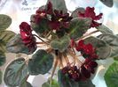 DSCF5783