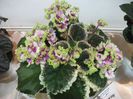 DSCF5791