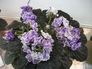 DSCF5792
