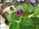DSCF5793